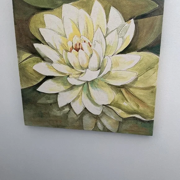 Lily Pad Pictures - Picture 6 of 9